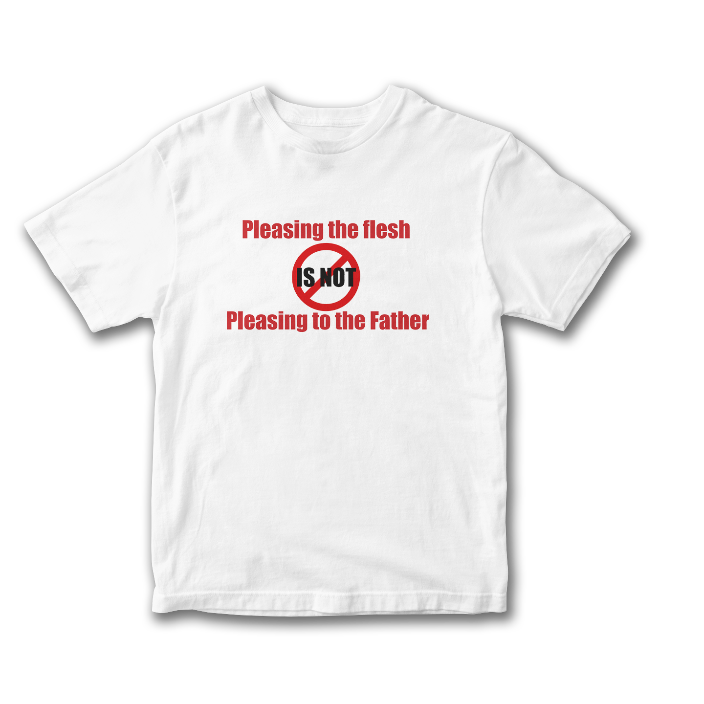 Pleasing The Flesh Is Not T-Shirt