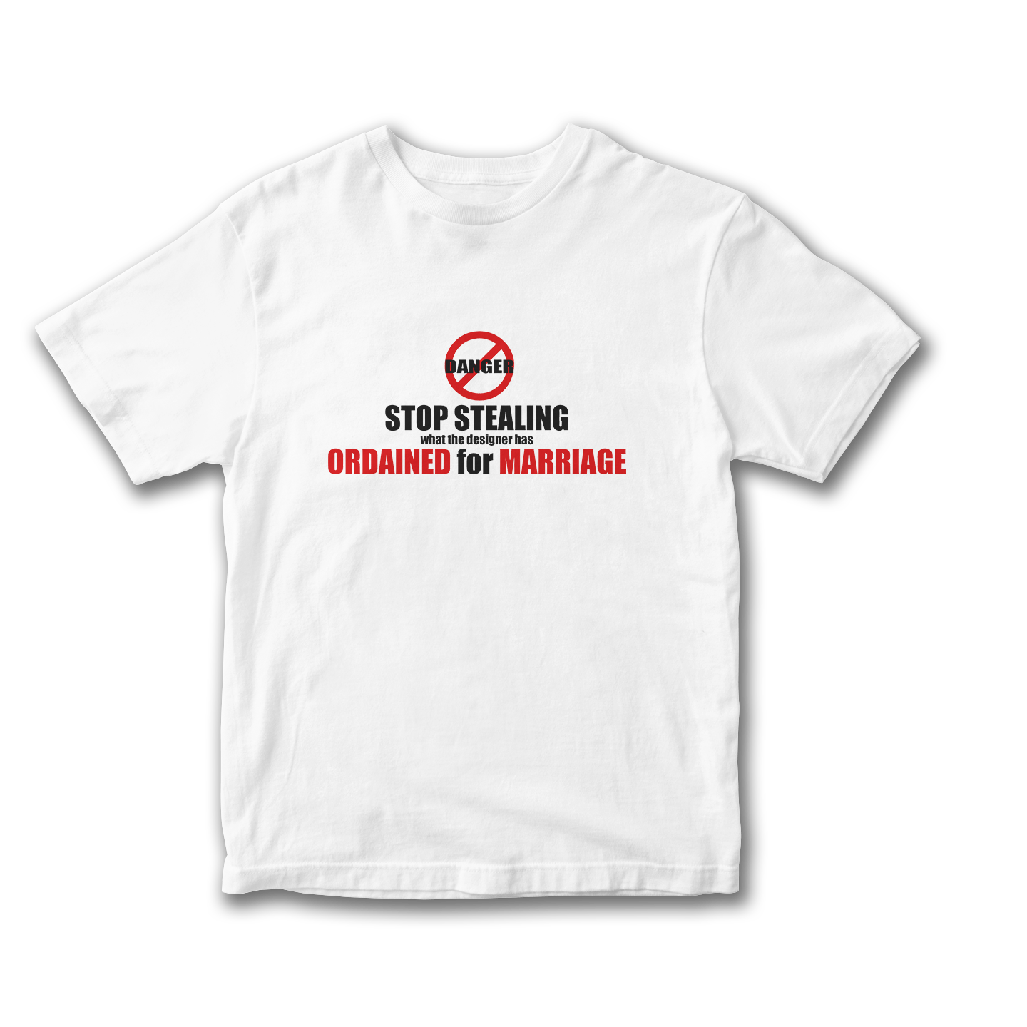 Stop Stealing Ordained for Marriage T-Shirt