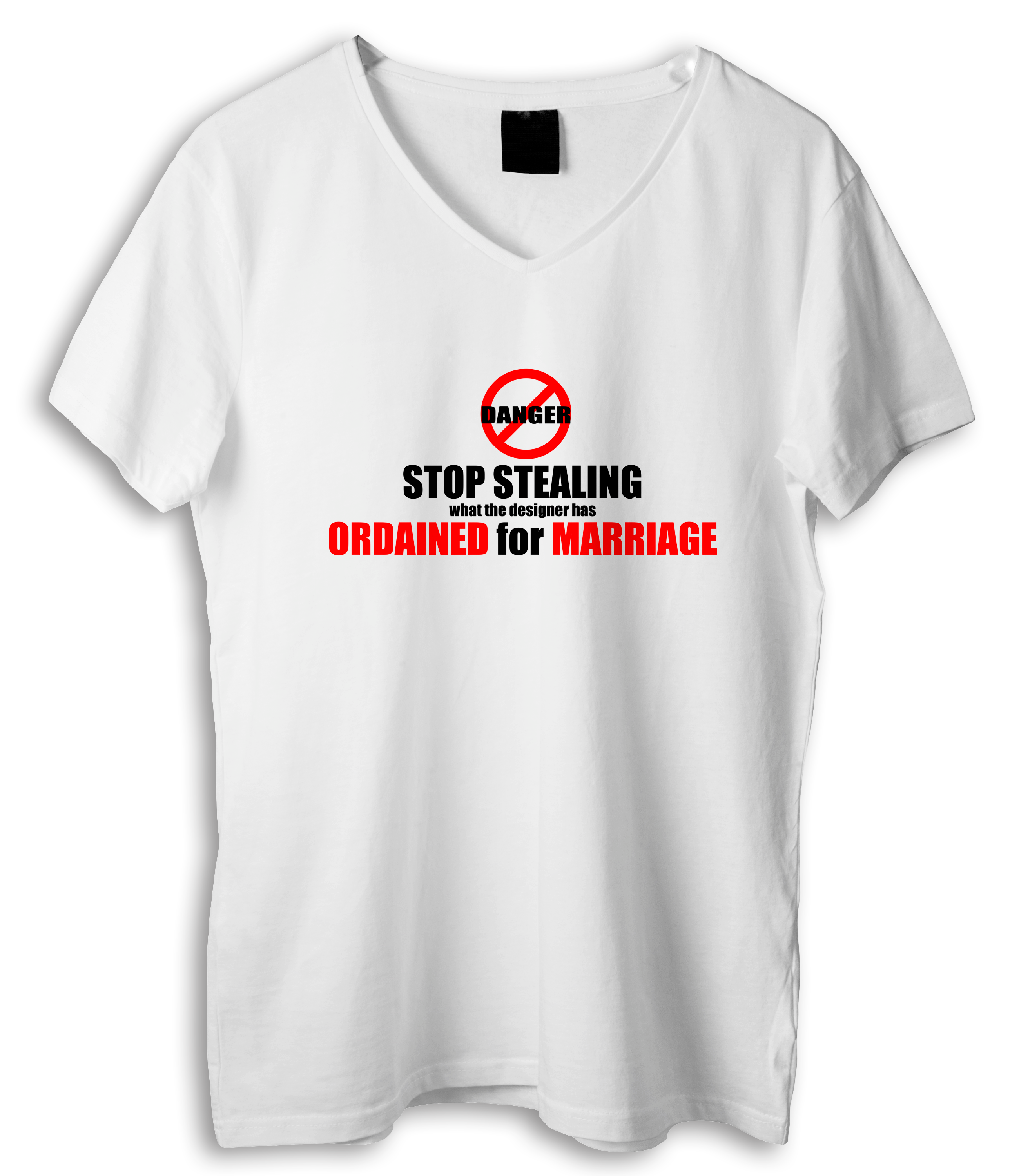 Stop Stealing Ordained for Marriage T-Shirt