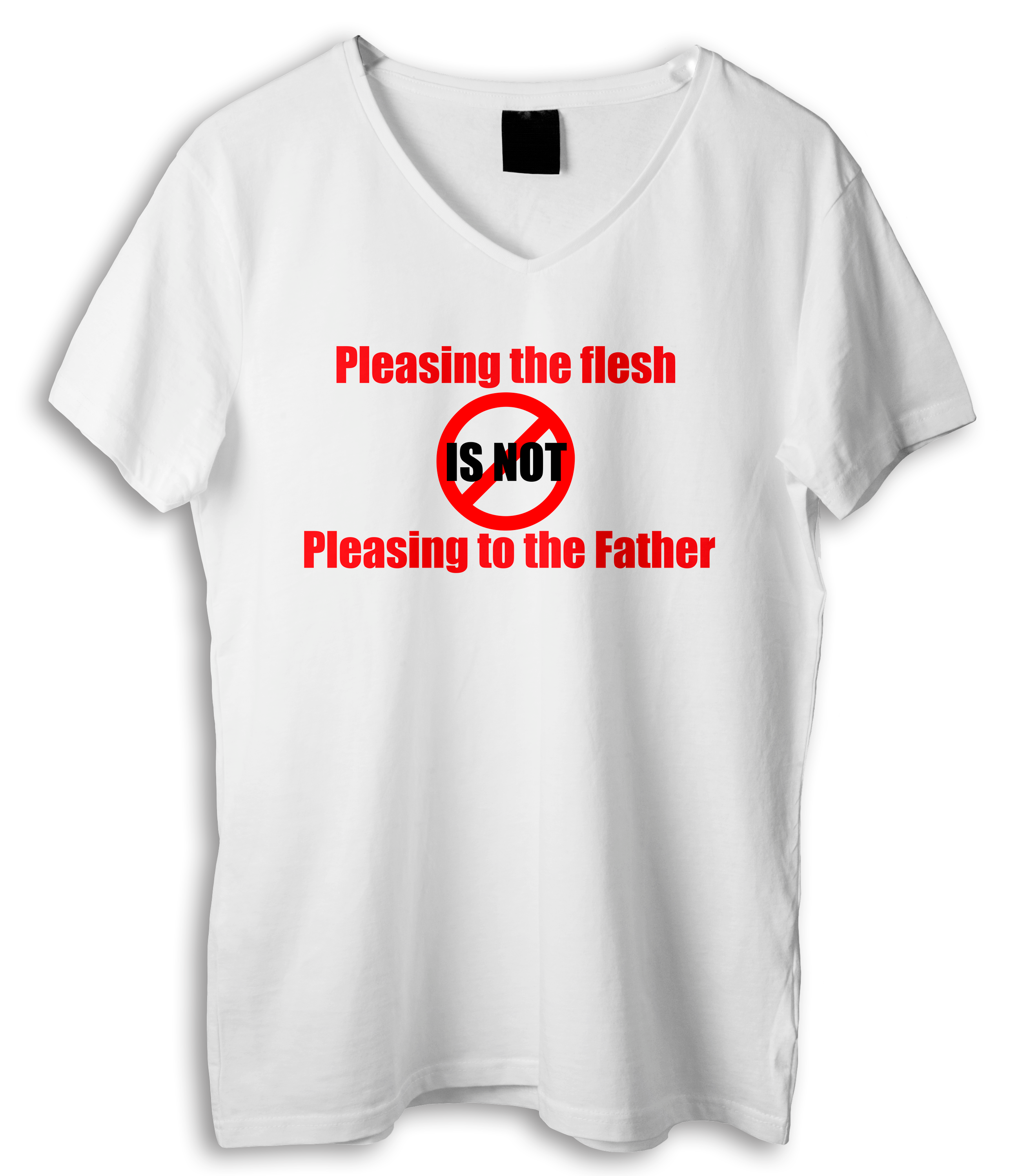 Pleasing The Flesh Is not Pleasing The Father Shirt